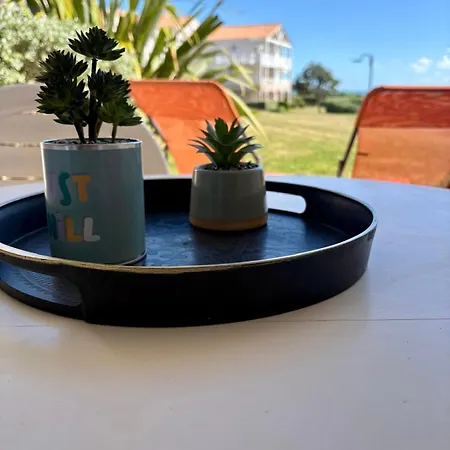Garden&sea - 2-4pers - Piscine Et Jardin Vue